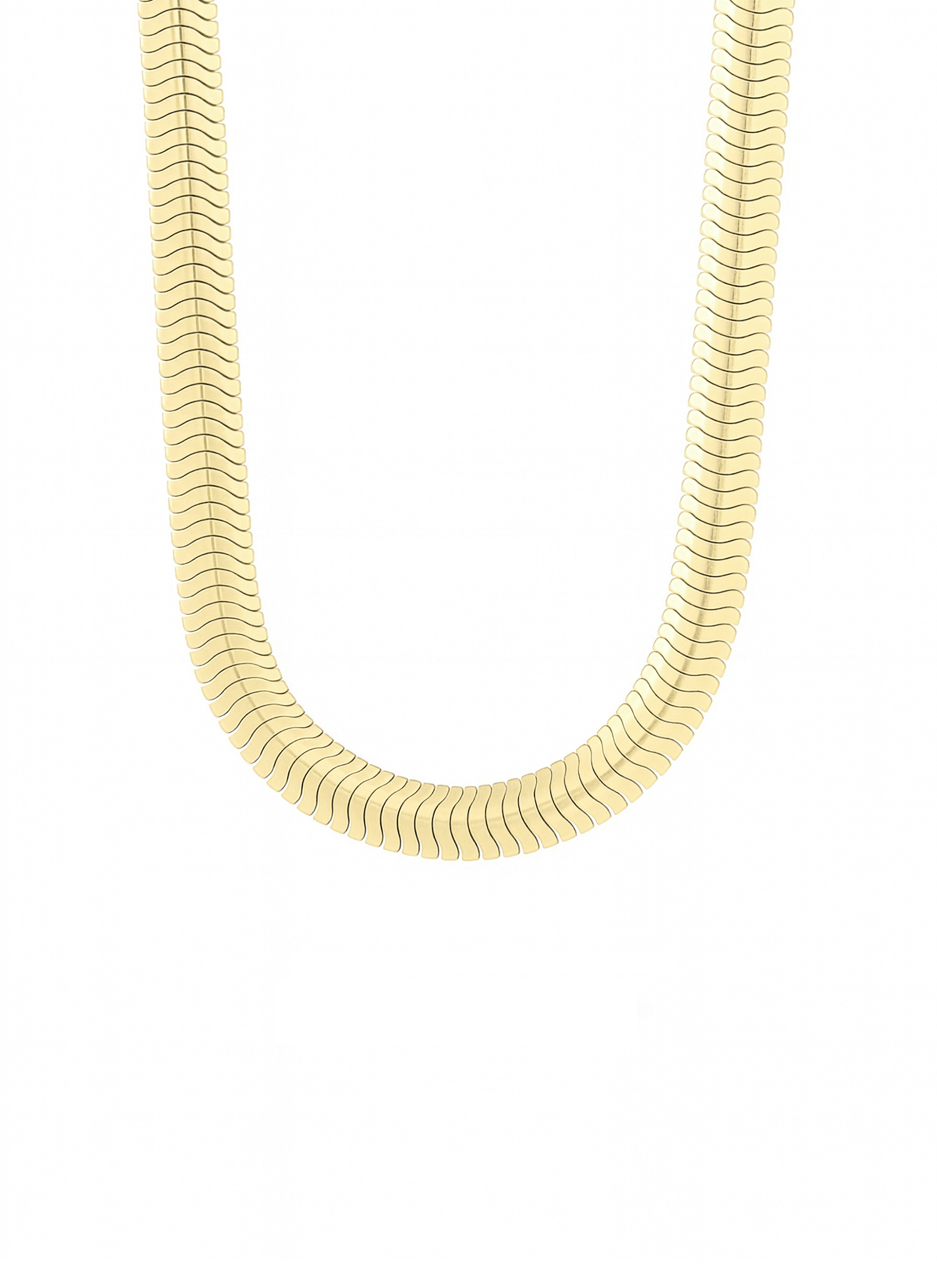 BALIK SIRTI ALTIN KOLYE