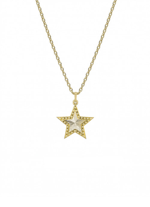 Galeri görünümünde 1 numaralı görseli yükle. YILDIZ ALTIN KOLYE